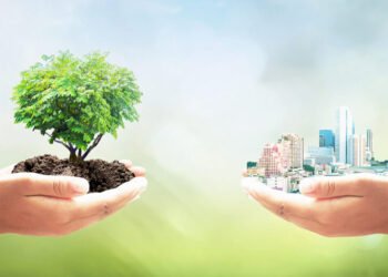 La madera en masa emerge como solución clave para la construcción sostenible y el desarrollo económico regional