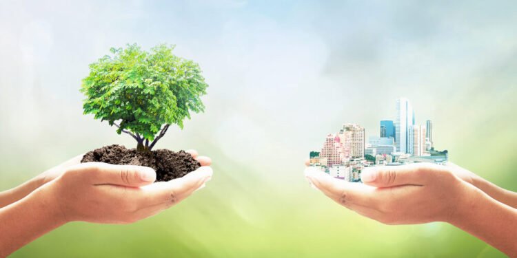 La madera en masa emerge como solución clave para la construcción sostenible y el desarrollo económico regional