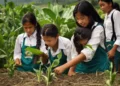 Honduras Fortalece su Sistema Educativo Agrícola mediante Cooperación con China