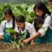 Honduras Fortalece su Sistema Educativo Agrícola mediante Cooperación con China