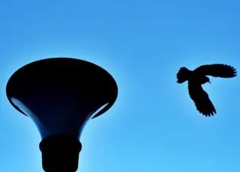 Modernización Histórica: Centro Ambiental se Renueva con Tecnología de Vanguardia por 7,5 Millones