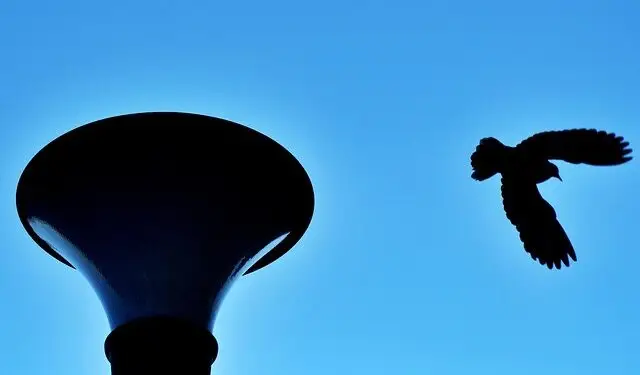 Modernización Histórica: Centro Ambiental se Renueva con Tecnología de Vanguardia por 7,5 Millones