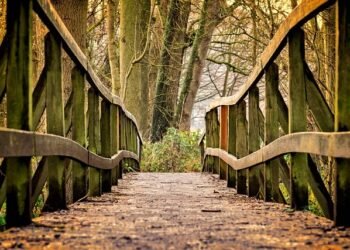 Impulso a la Construcción Sustentable: Nuevo Centro de Capacitación en el Sur Argentino