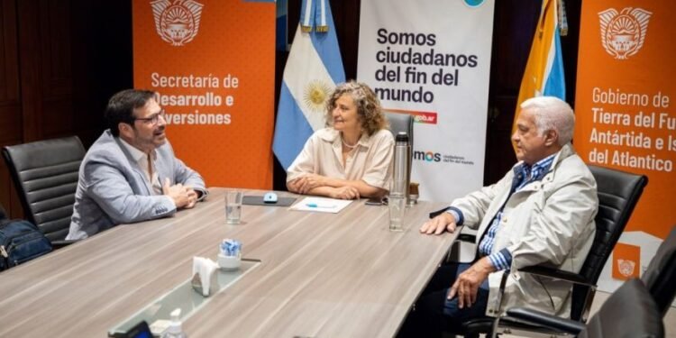 Iniciativa Innovadora: Capacitación en Construcción con Madera en la Región Austral