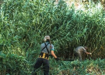 Mantenimiento Integral en la Quebrada de Zonda: Un Compromiso con la Preservación Natural