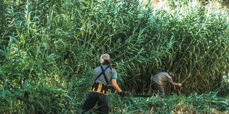 Mantenimiento Integral en la Quebrada de Zonda: Un Compromiso con la Preservación Natural