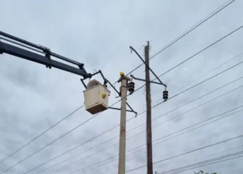 Refuerzan red eléctrica en Misiones: Instalación de postes de hormigón mejora línea de 33kV