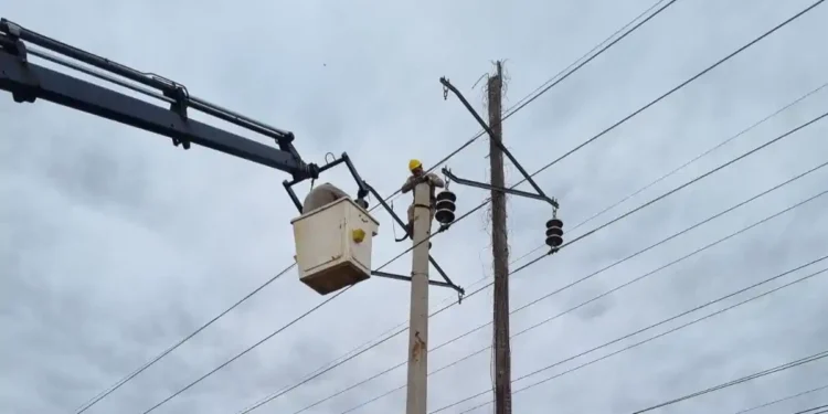 Refuerzan red eléctrica en Misiones: Instalación de postes de hormigón mejora línea de 33kV