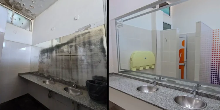 Renovación Completa de Baños en Terminal de Ómnibus Esperanza: Modernización e Inversión Municipal