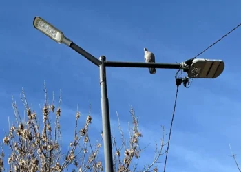 Mejoras en la Iluminación Urbana: Parque Unzué y Acceso Sur Reciben Importantes Actualizaciones