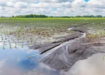 Buenos Aires reasigna $8.810 millones para obras hidráulicas en Mechita, Alberti, Bragado y Morón