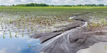 Buenos Aires reasigna $8.810 millones para obras hidráulicas en Mechita, Alberti, Bragado y Morón