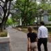 nueva peatonal ayacucho con jacarandás y mobiliario urbano