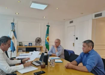 Proyecto acceso por calle Irigoyen en Patagones con ciclovía y espacios recreativo
